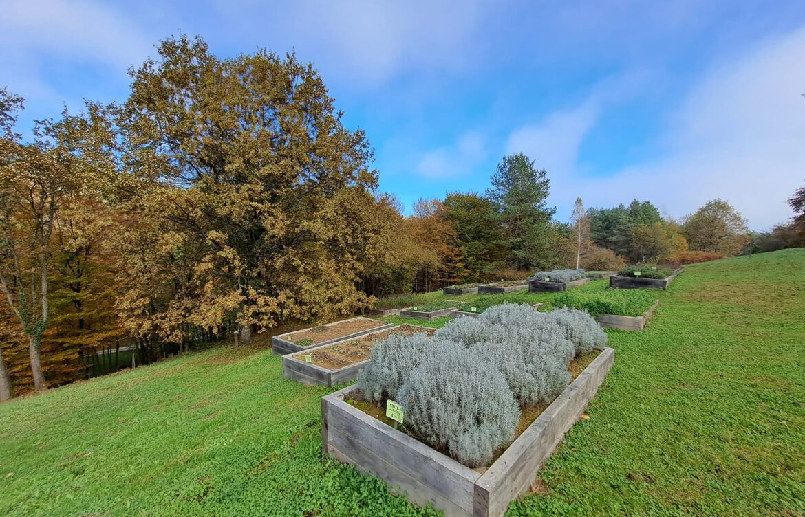 Trajnost Zeliščarskega centra